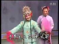 评剧【花为媒】选段报花名 评剧【花为媒】选段报花名